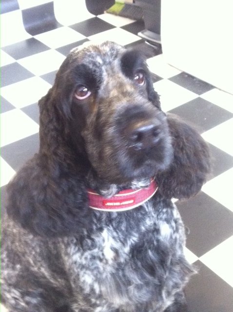 Quincy