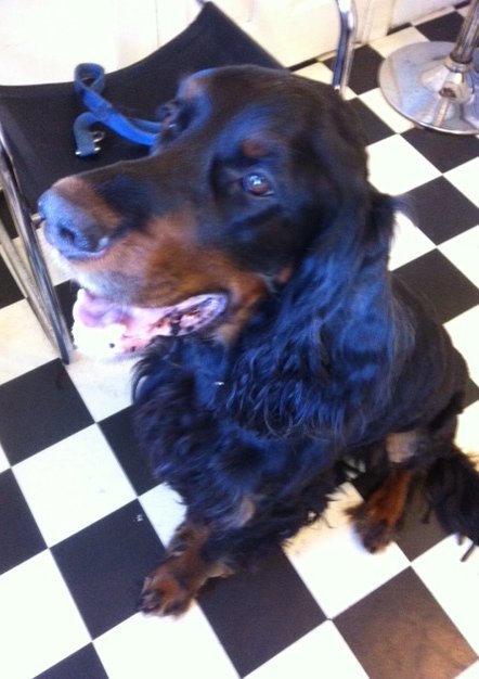 Shamus