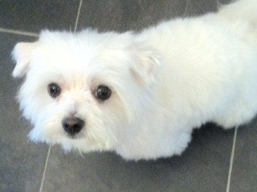 Charlie