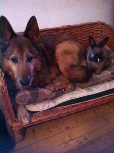 Best pals Bradley and Charlie