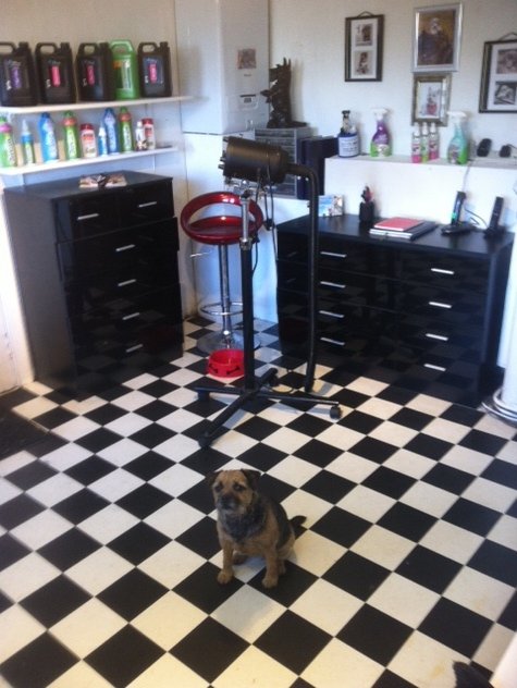 Salon