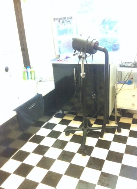 Salon